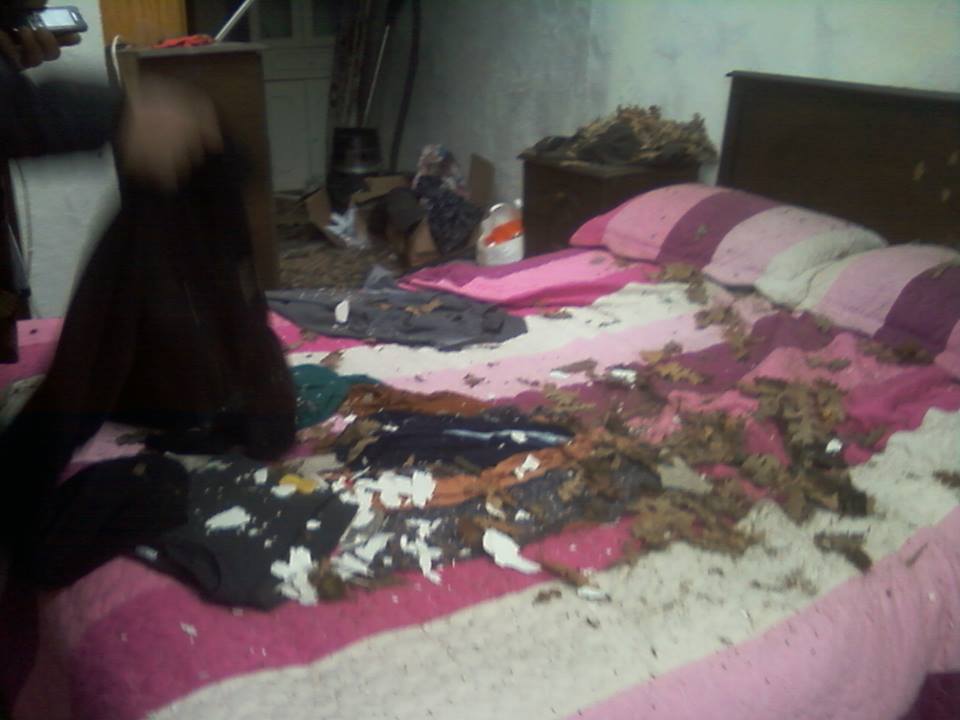 1604401_520712814693103_1018962933_n