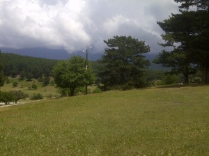 IMG-20130614-00342