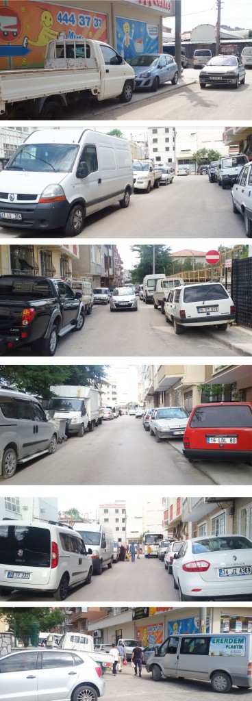 akıl tutulması2